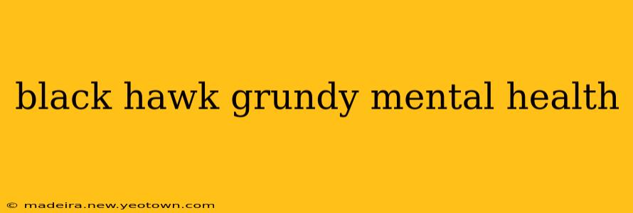 black hawk grundy mental health