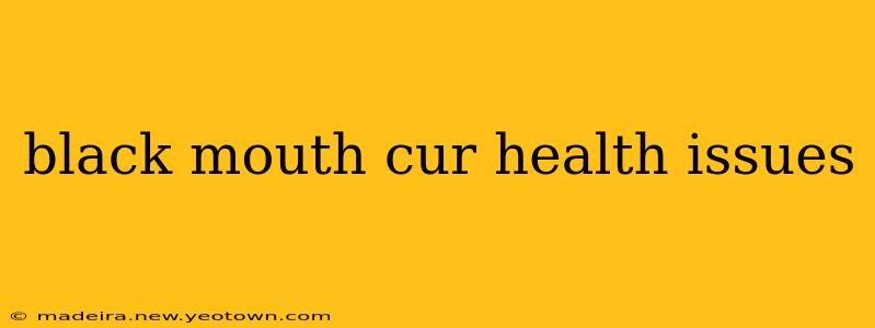 black mouth cur health issues