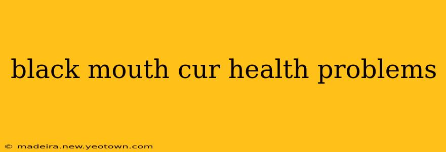 black mouth cur health problems