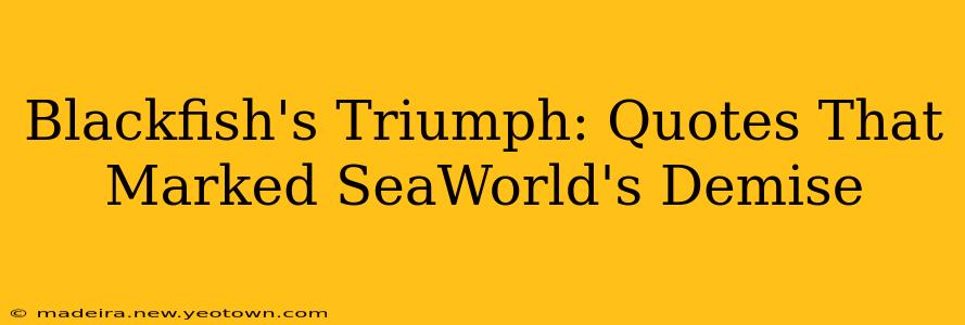 Blackfish's Triumph: Quotes That Marked SeaWorld's Demise