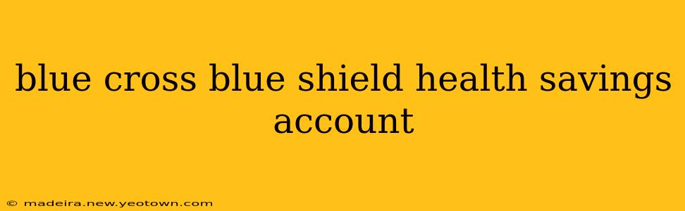 blue cross blue shield health savings account