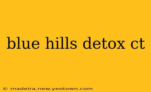 blue hills detox ct