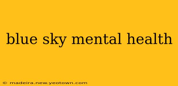 blue sky mental health