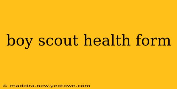 boy scout health form
