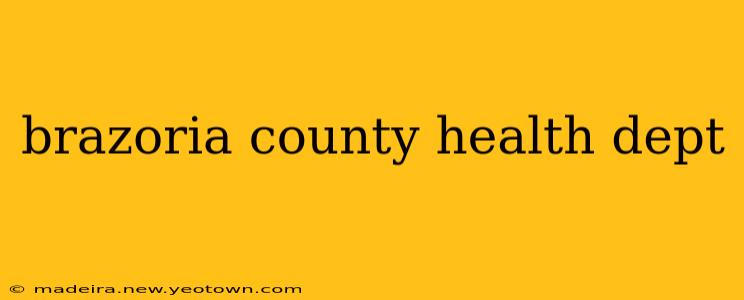brazoria county health dept
