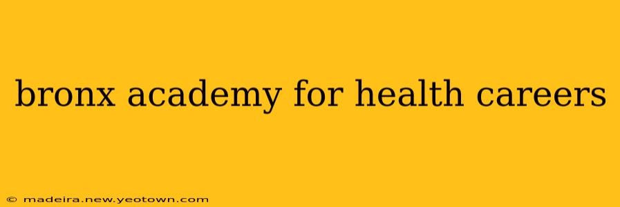 bronx academy for health careers