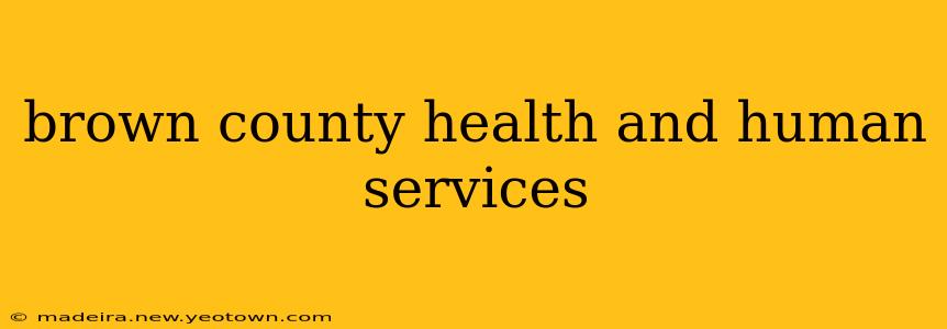 brown county health and human services