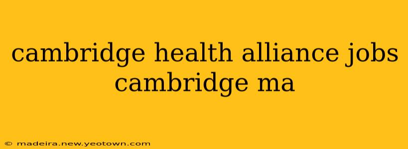 cambridge health alliance jobs cambridge ma