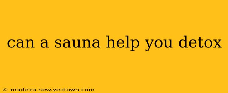 can a sauna help you detox