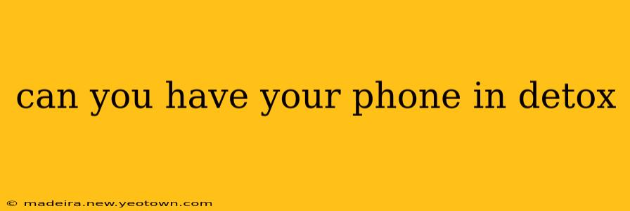 can you have your phone in detox