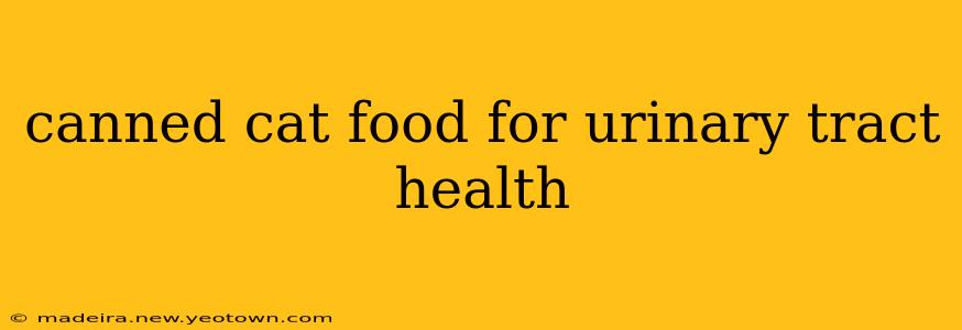 canned cat food for urinary tract health