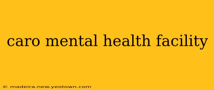 caro mental health facility