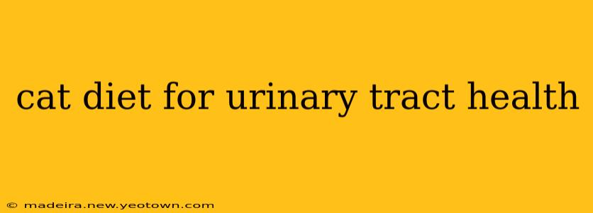 cat diet for urinary tract health
