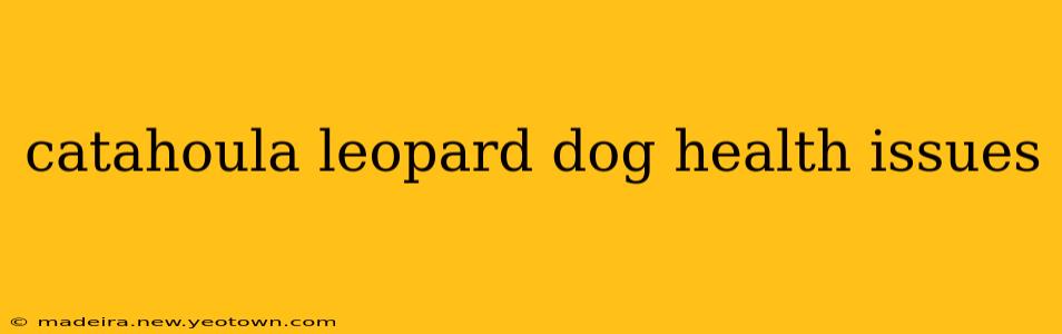 catahoula leopard dog health issues