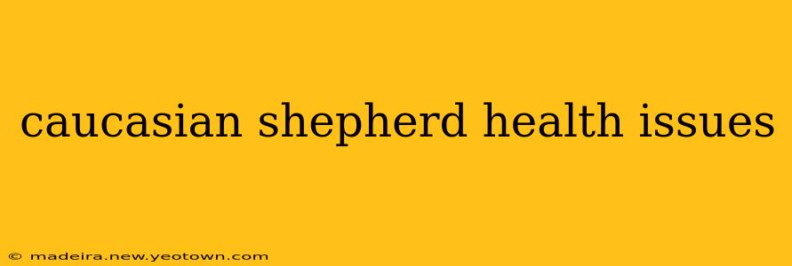 caucasian shepherd health issues