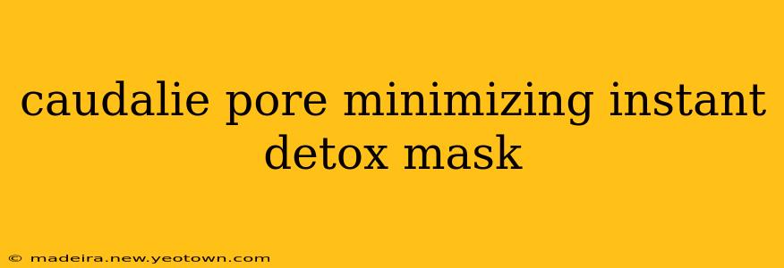caudalie pore minimizing instant detox mask