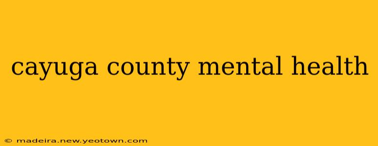 cayuga county mental health
