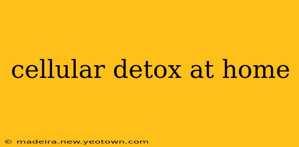 cellular detox at home