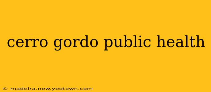 cerro gordo public health