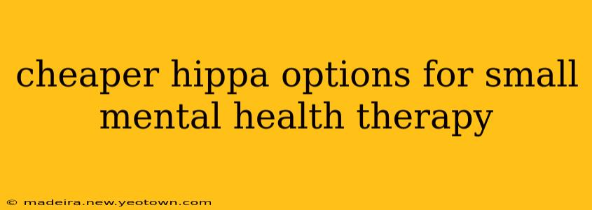 cheaper hippa options for small mental health therapy