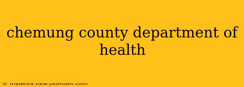 chemung county department of health
