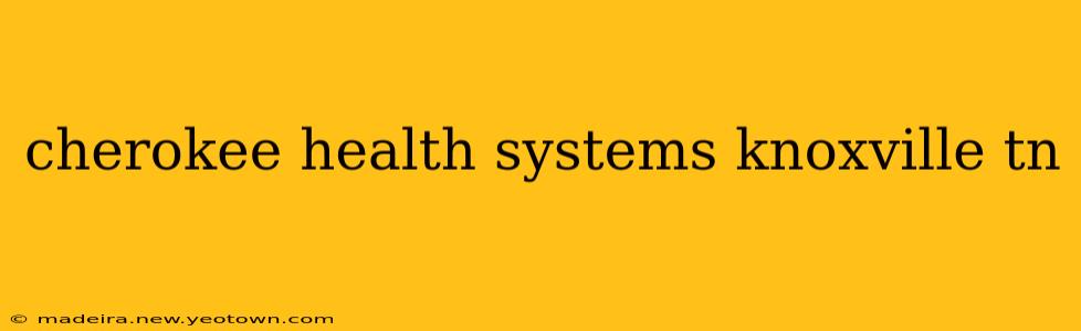 cherokee health systems knoxville tn