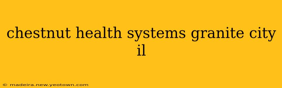 chestnut health systems granite city il