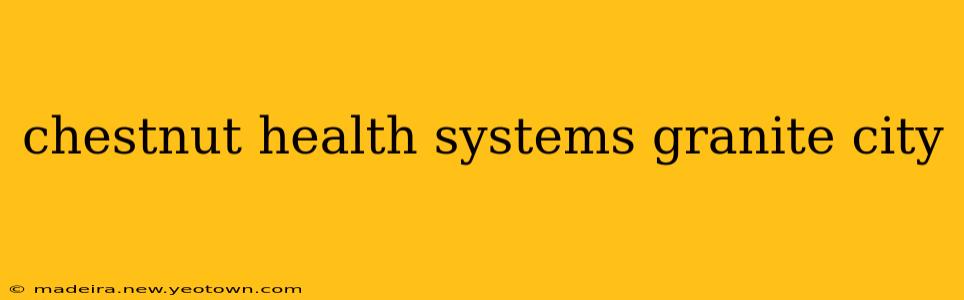 chestnut health systems granite city