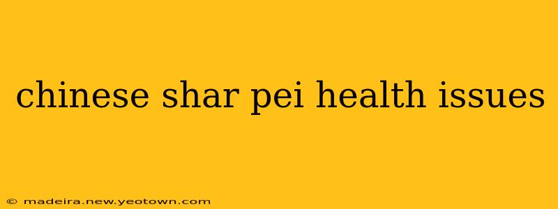 chinese shar pei health issues