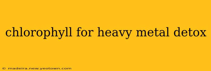chlorophyll for heavy metal detox
