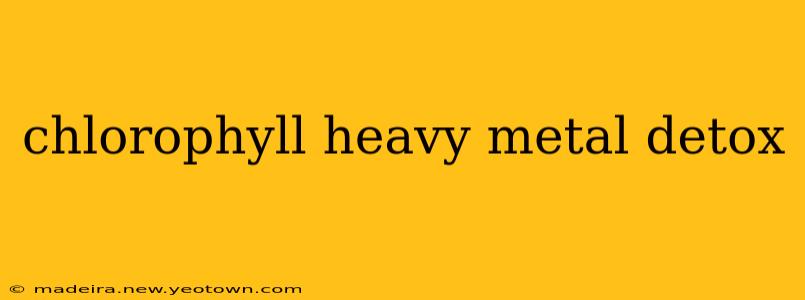 chlorophyll heavy metal detox