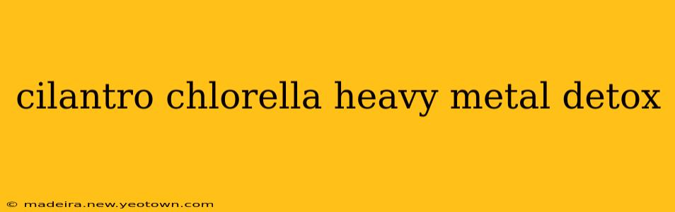 cilantro chlorella heavy metal detox