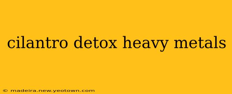 cilantro detox heavy metals