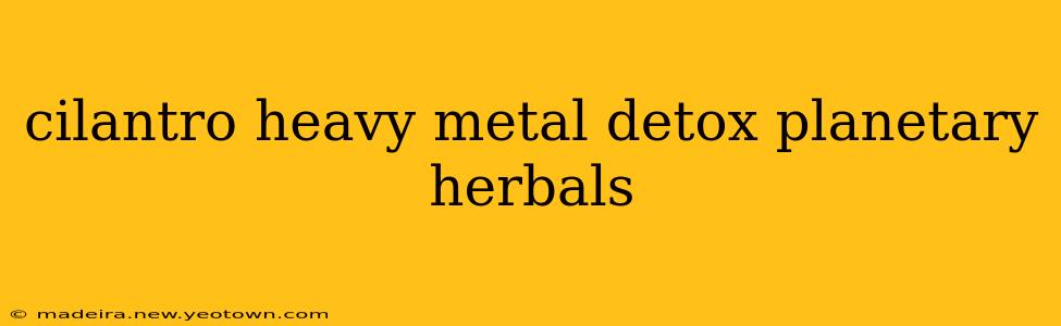 cilantro heavy metal detox planetary herbals