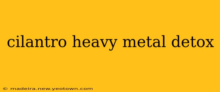 cilantro heavy metal detox