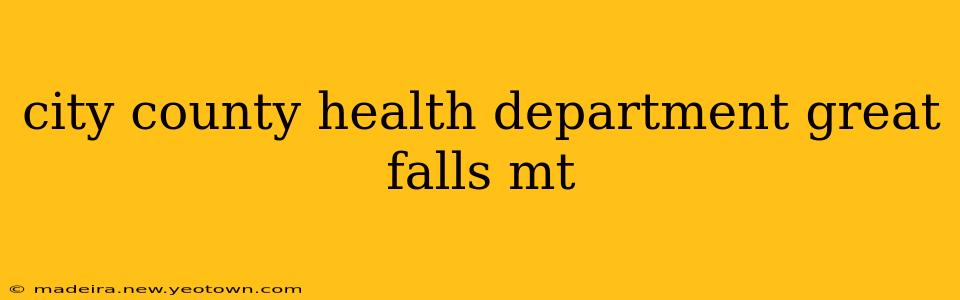 city county health department great falls mt