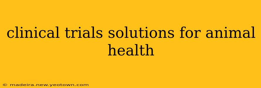 clinical trials solutions for animal health