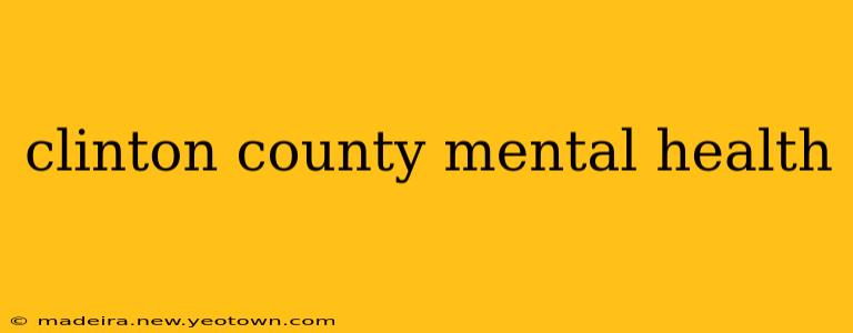 clinton county mental health