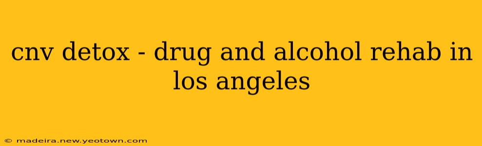 cnv detox - drug and alcohol rehab in los angeles