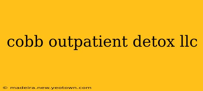 cobb outpatient detox llc