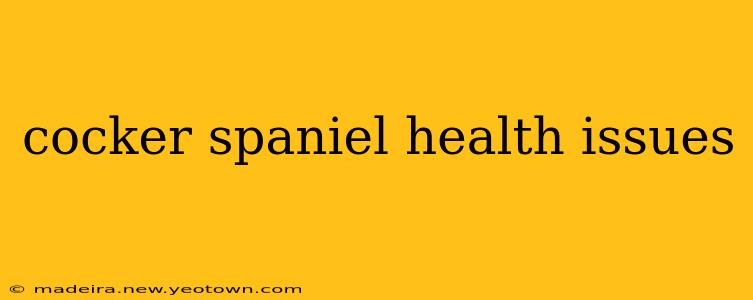 cocker spaniel health issues