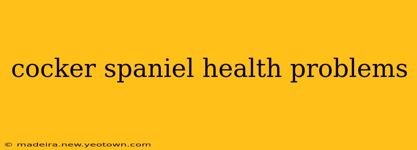 cocker spaniel health problems