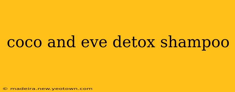coco and eve detox shampoo