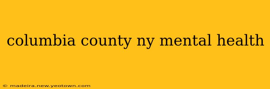 columbia county ny mental health