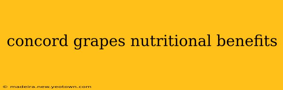 concord grapes nutritional benefits