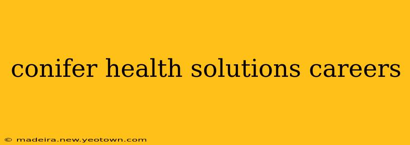 conifer health solutions careers