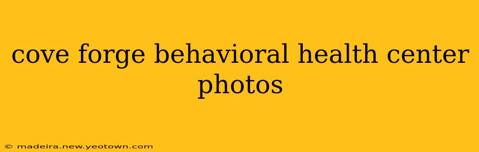 cove forge behavioral health center photos
