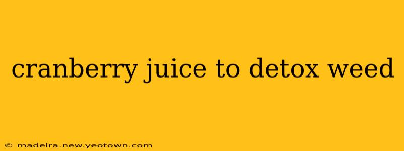 cranberry juice to detox weed