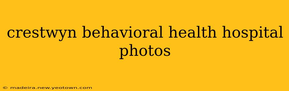crestwyn behavioral health hospital photos