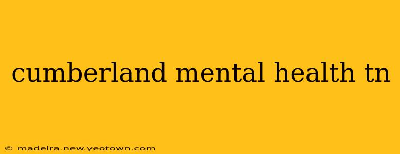 cumberland mental health tn